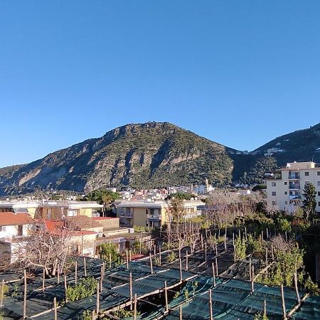 بيانو دي سورينتو B&B Tina المظهر الخارجي الصورة